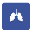 x-ray